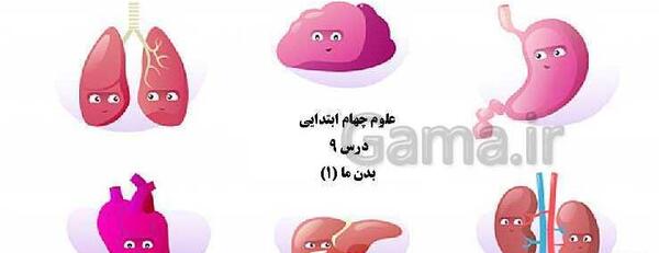عکس صفحه ۸۱ علوم چهارم
