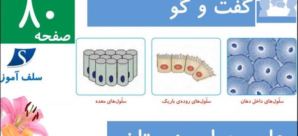 عکس صفحه ۷۰ علوم چهارم