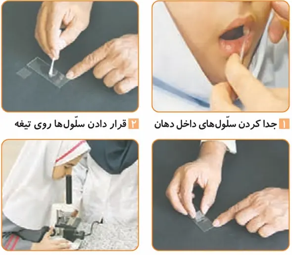 عکس صفحه ۵۷ علوم چهارم