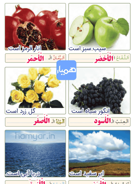 عکس صفحه ۱۹ عربی هشتم
