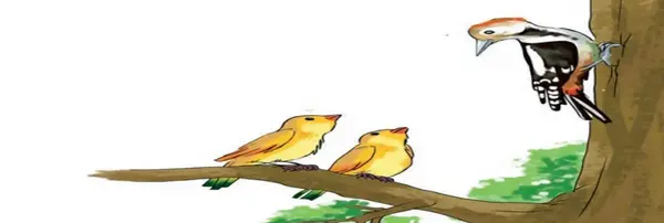 عکس صفحه فارسی دوم