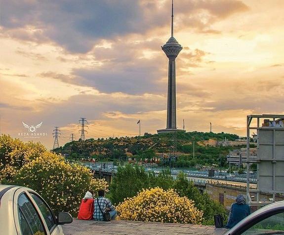 عکس های کویر ارغوان مقدم