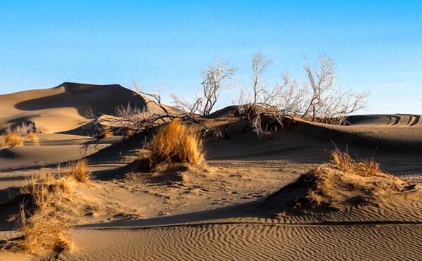 عکس های زیبای کویر