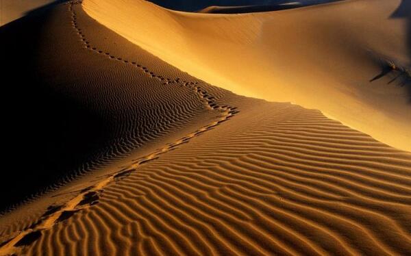 عکس های زیبای کویر