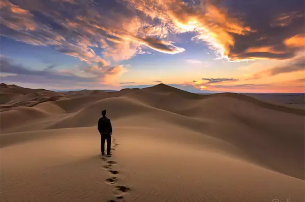 عکس های زیبای کویر