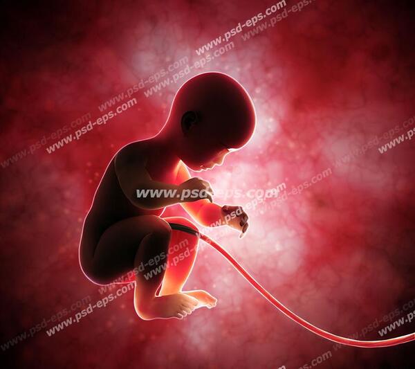 عکس ناف جنین