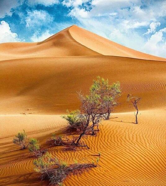 عکس کویر ورزنه