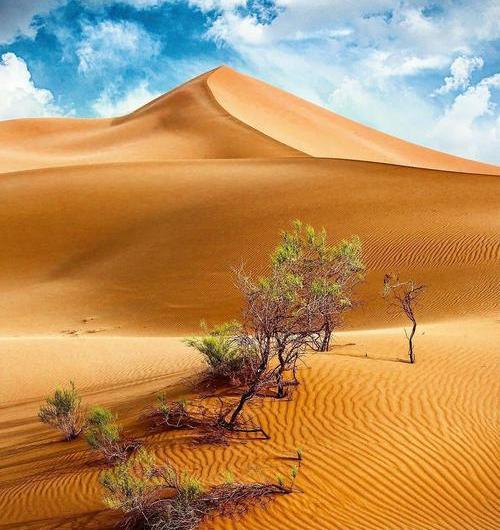 عکس تور کویر گردی