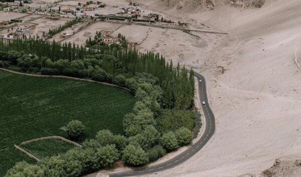 عکس کویر و جنگل