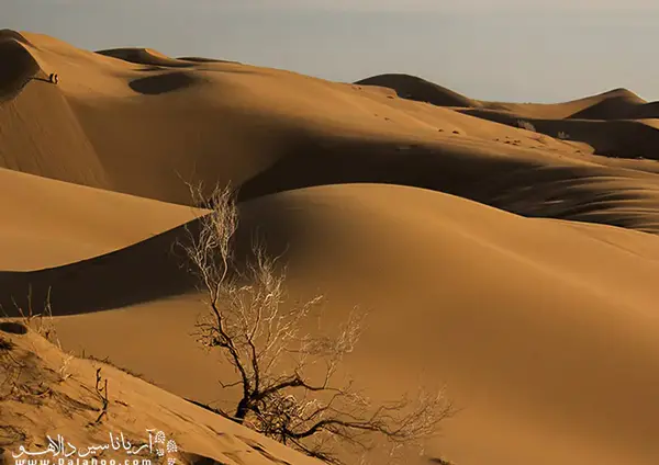 عکس های تور کویر