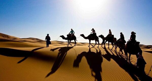 عکس کویر با شتر