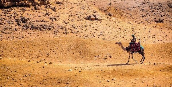 عکس با چفیه در کویر