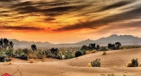 عکس در کویر مصر