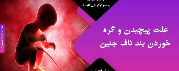 عکس بند ناف جنین