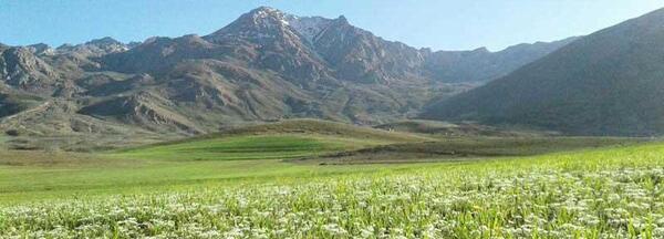 عکس قلعه جنگی