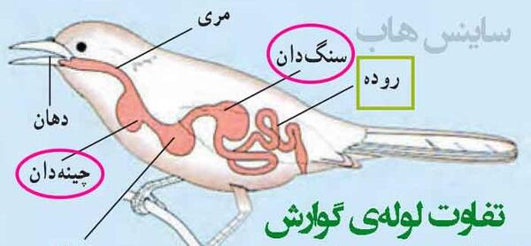 عکس صفحه 102 علوم هفتم