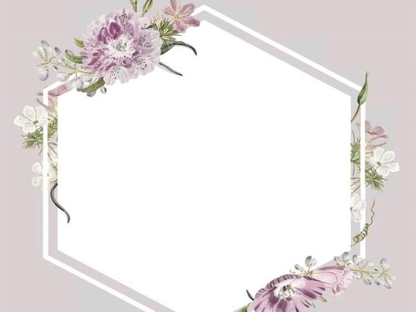 عکس صفحه گلدار برای نوشتن متن