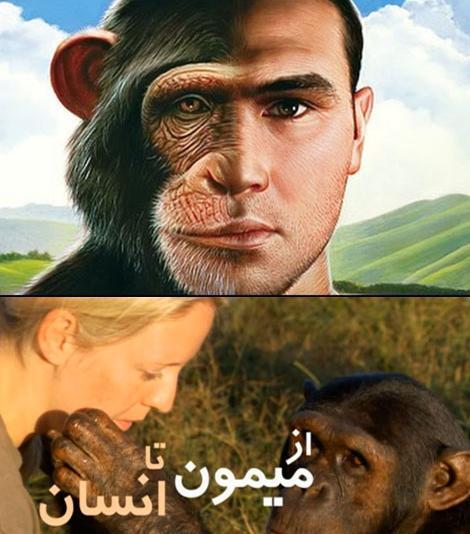 عکس میمون انسان