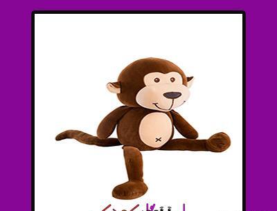 عکس میمون خنگول