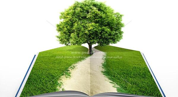 عکس کتاب و طبیعت