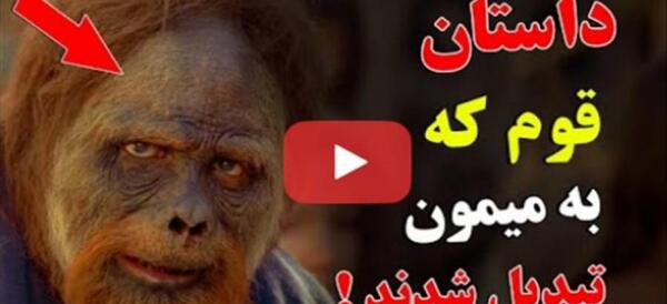 عکس میمون و آدم