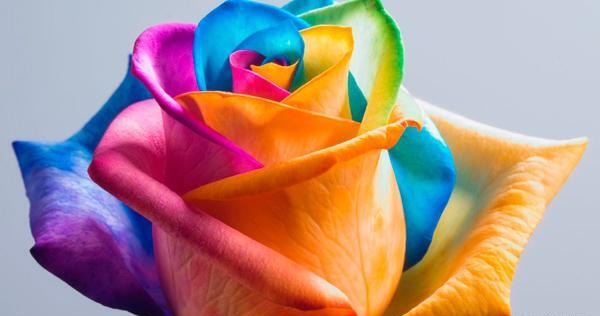 عکس رنگین کمانی برای پروفایل