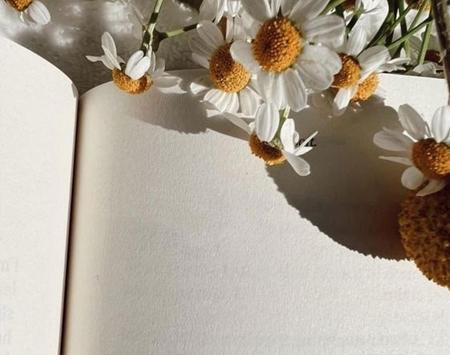 عکس صفحه ی کتاب خالی
