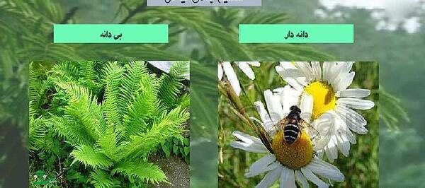 عکس کتاب علوم چهارم درس ۱۲