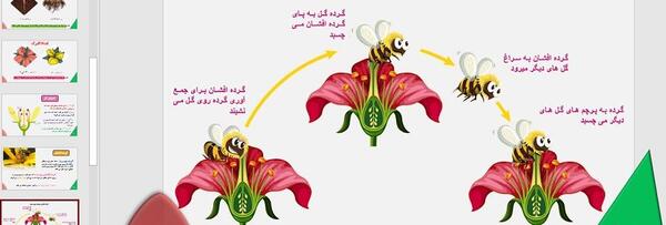 عکس کتاب علوم چهارم درس ۱۲