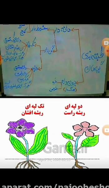 عکس کتاب علوم چهارم درس ۱۲