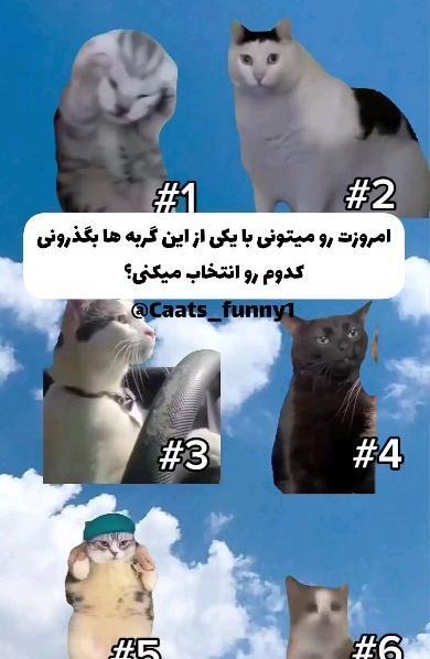 پاستیل اسمر عکس اسلایم خوردنی