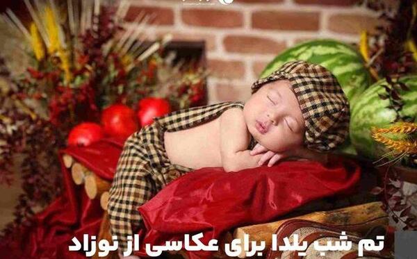 عکس ایده تم یلدایی برای عکاسی