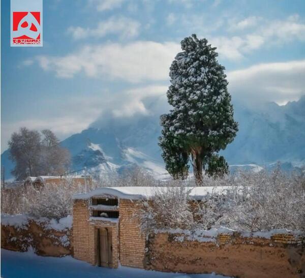 عکس برف در یزد