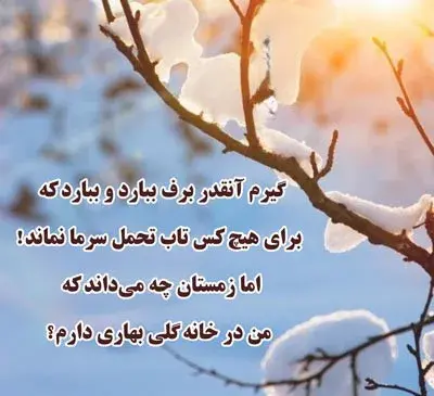 عکس پروفایل گل و برف
