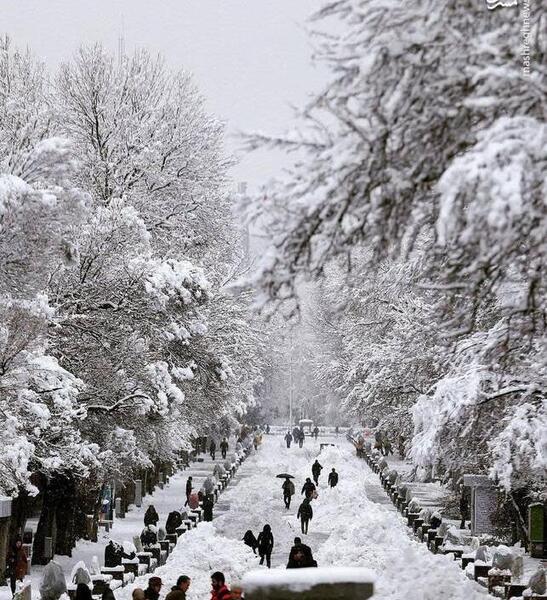 عکس برف در همدان