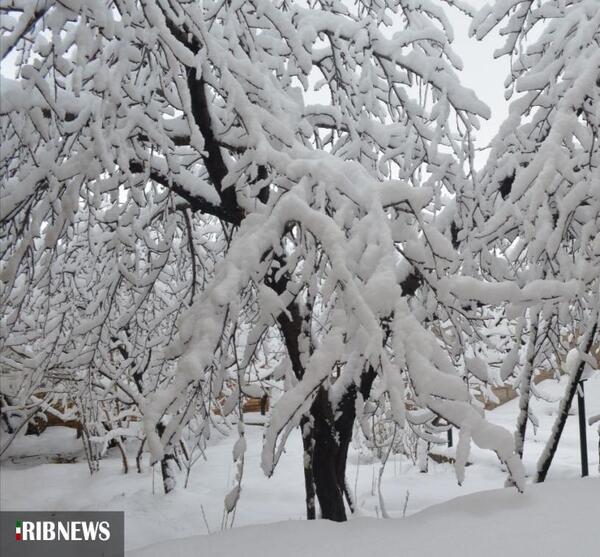 عکس برف یخبندان