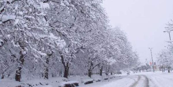 عکس برف یخبندان