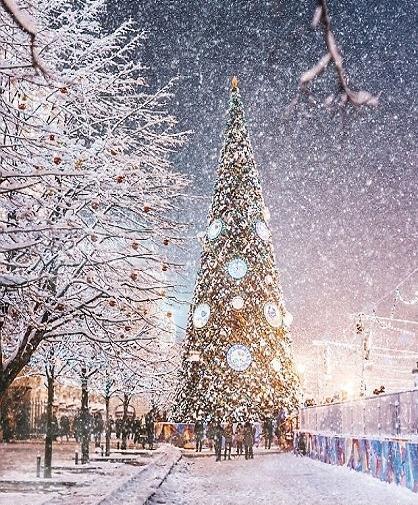 عکس برف و کریسمس