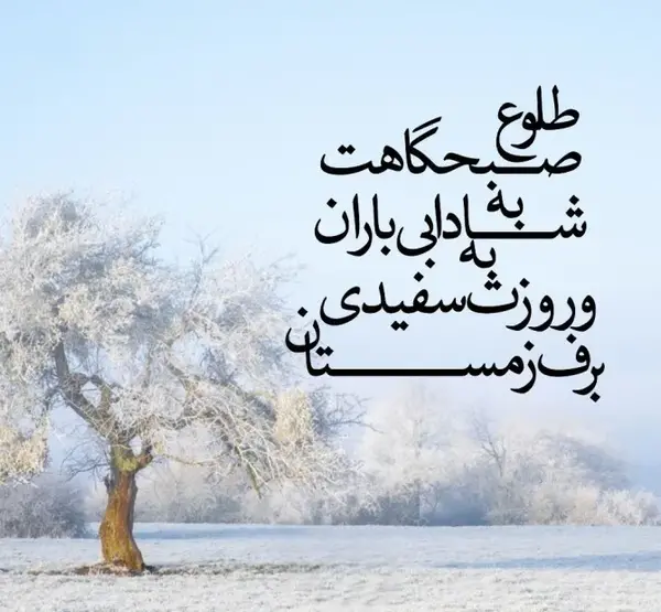 عکس برف عکس برف عکس برف