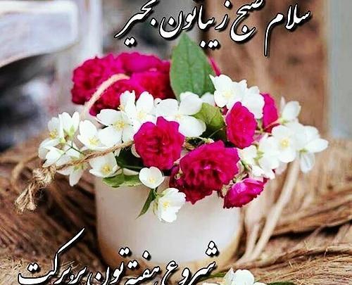 عکس صبح بخیر روز برفی