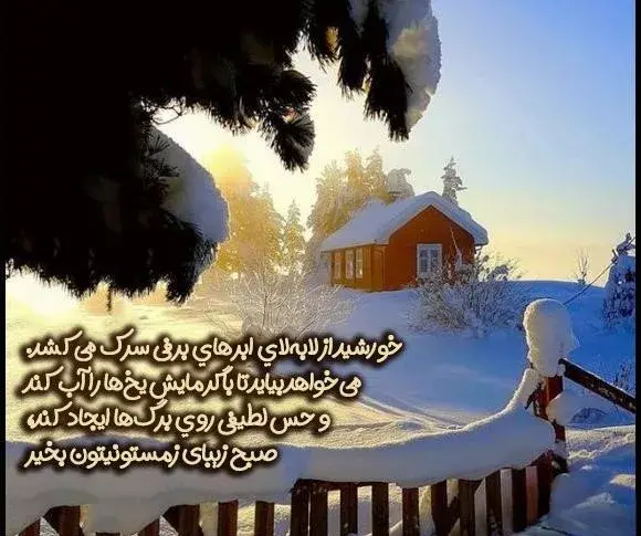 عکس از صبح برفی