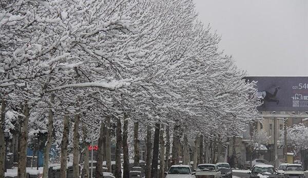 عکس از برف زمستانی