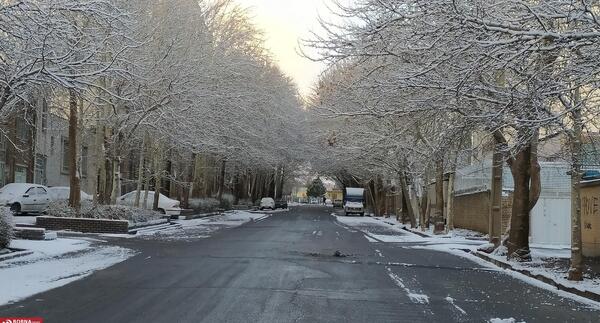 عکس از برف زمستانی