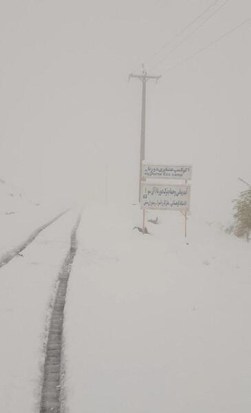 عکس برف در اردبیل