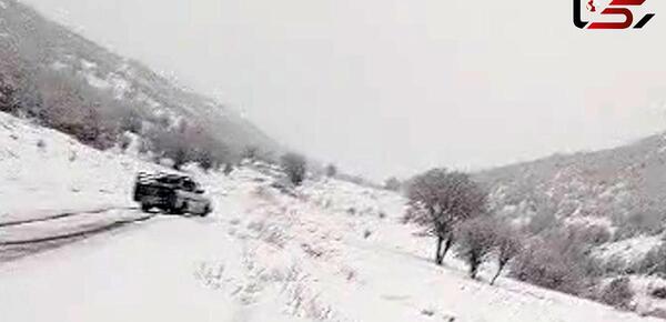 عکس برف بازی سپیدان