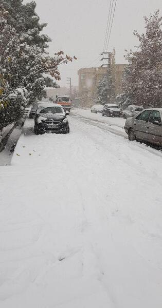 عکس از برف در تهران