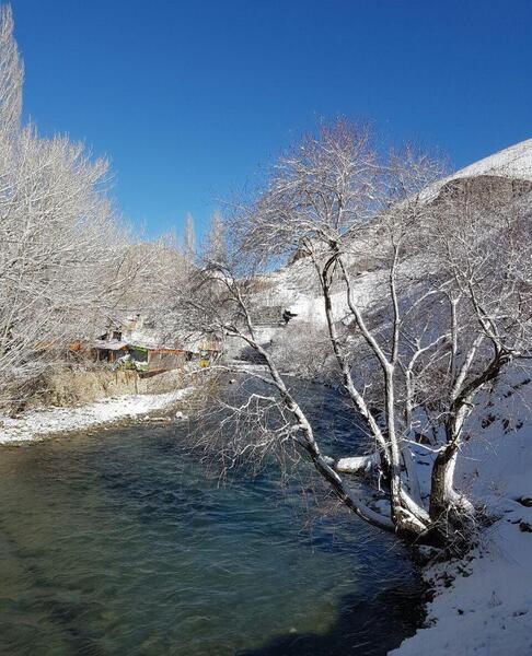 عکس برف در چالوس