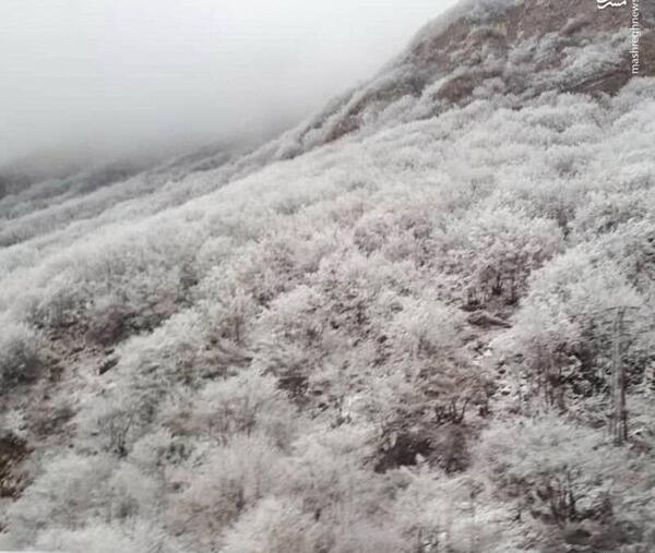 عکس برف در چالوس