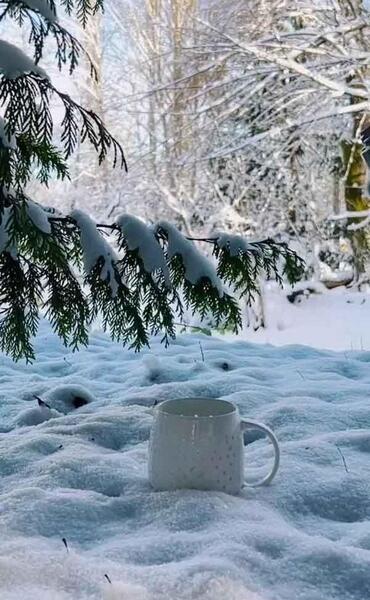 عکس پروفایل جدید برف