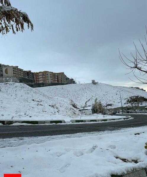 عکس های برف امروز تهران